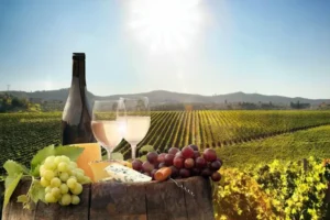 Luxury wine tour shuttle service for California wine regions