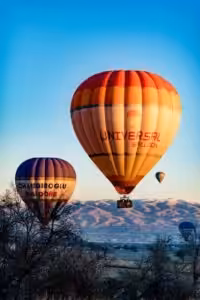 Wine tour and leisure transportation
